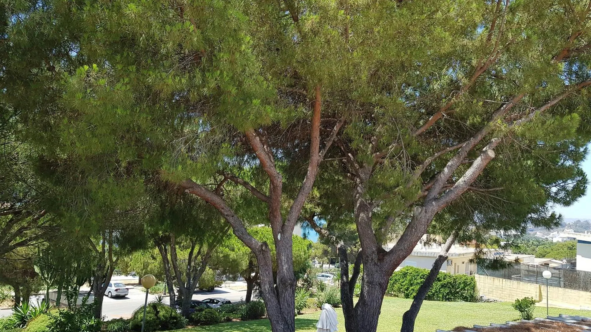 Der Ort Des Lichts Apartment Estepona 0*,  Spain